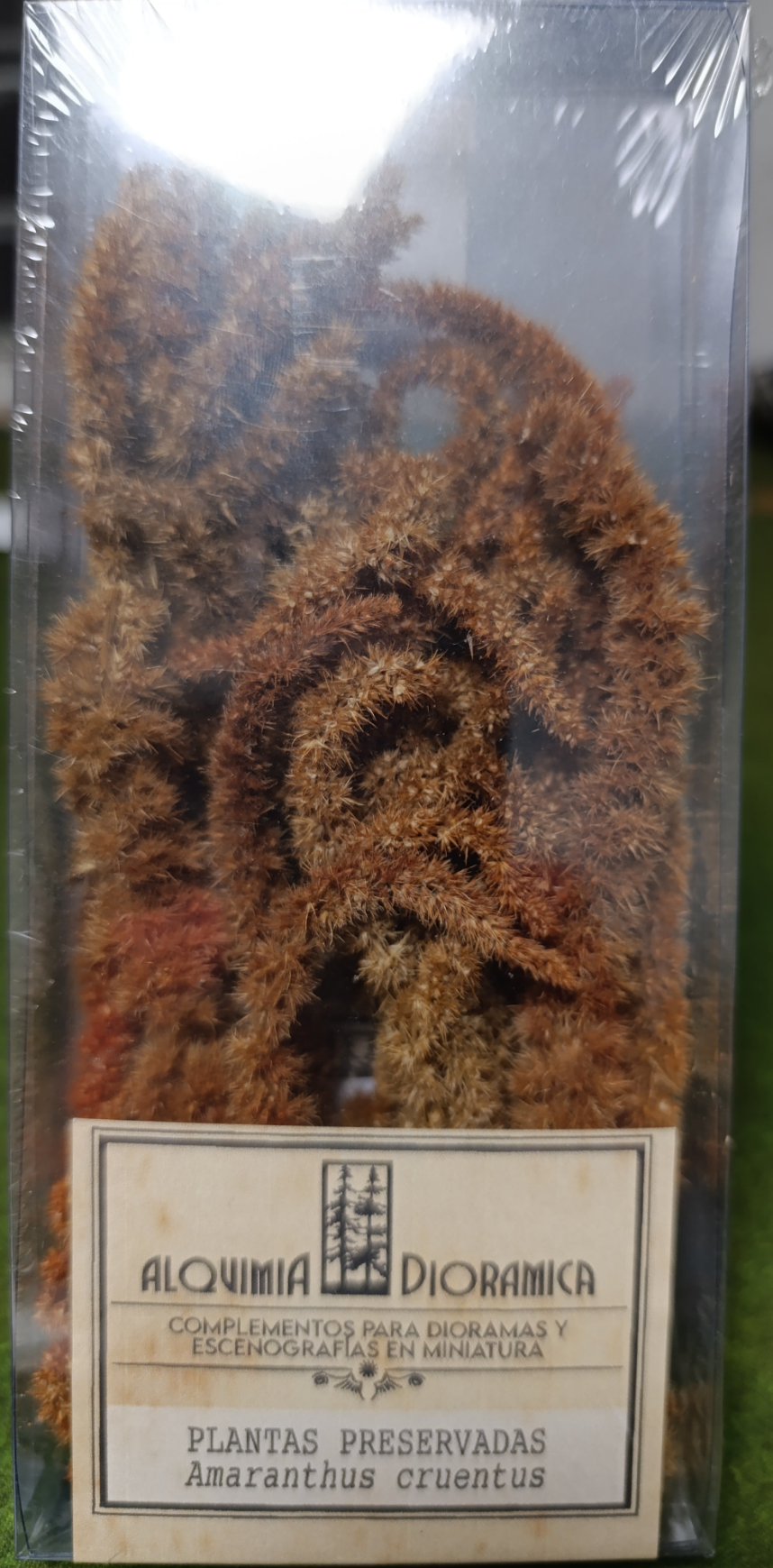 Plantas preservadas